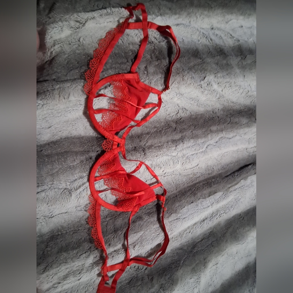 Hustler Hollywood Vibrant Red Lace Bra